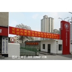 上海市民办震旦外国语中学