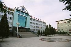 新城区蒙古族学校