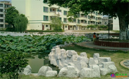 广西上林中学