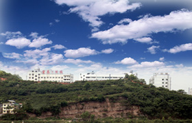 湖北省宜昌外国语学校